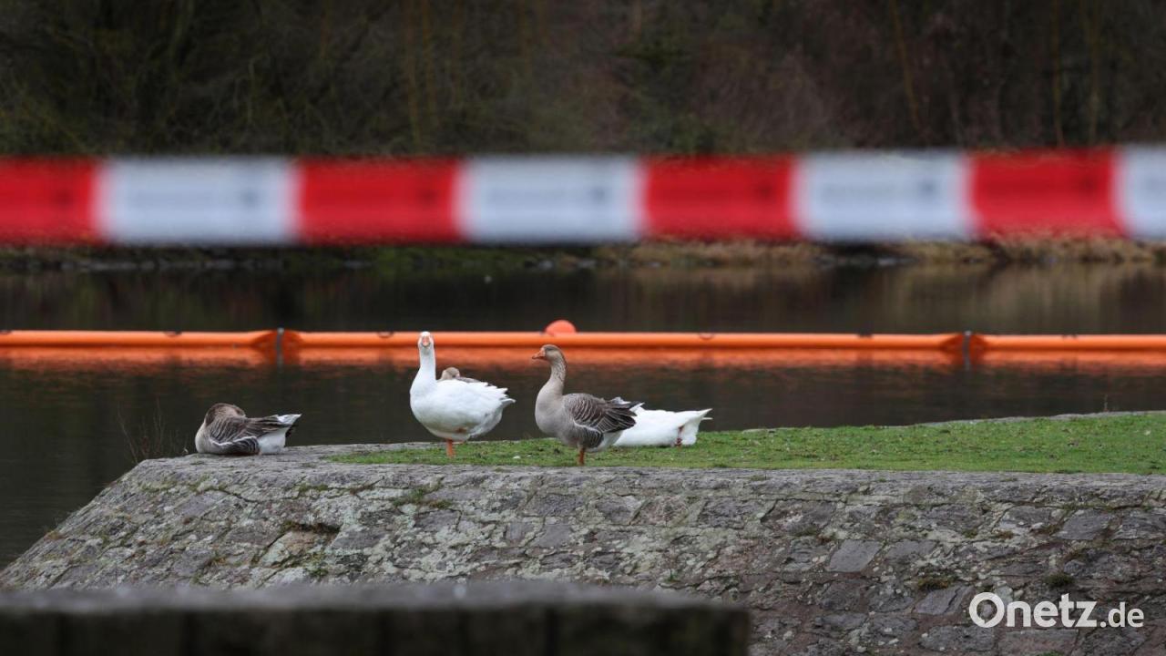 Main-nach-Dieselaustritt-vorerst-f-r-Schifffahrt-gesperrt
