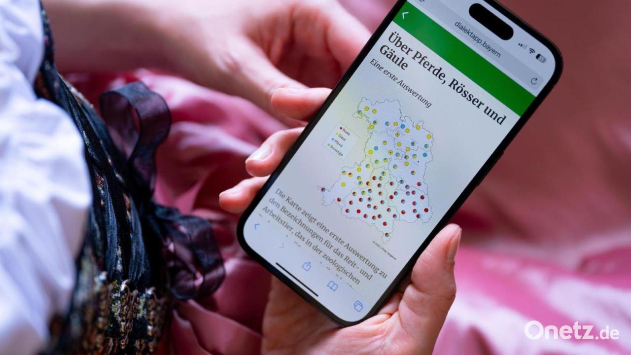 Sprachforschung: Was die DialektApp verrät