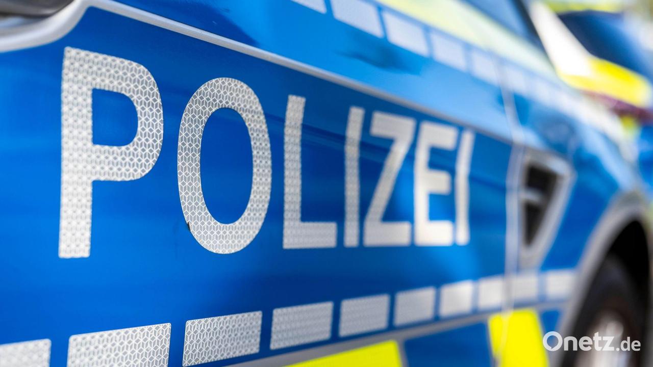 Holzdiebstahl-bei-Pleystein-Polizei-sucht-Zeugen