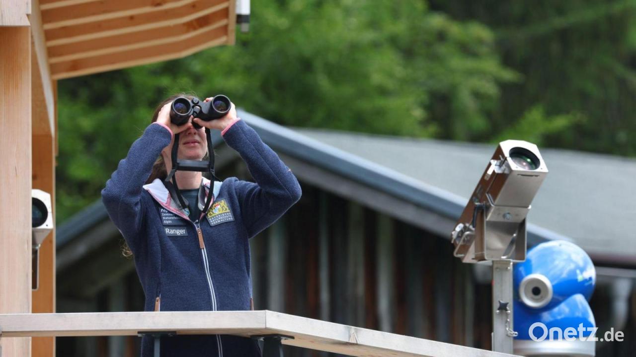 Bayern stoppt Modellprojekt am Riedberger Horn