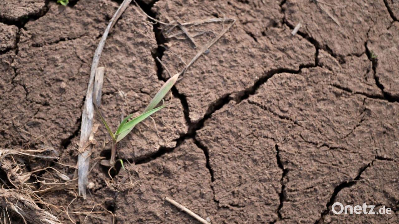 Amt: 2025 war das fünfzehnte zu warme Jahr in Folge