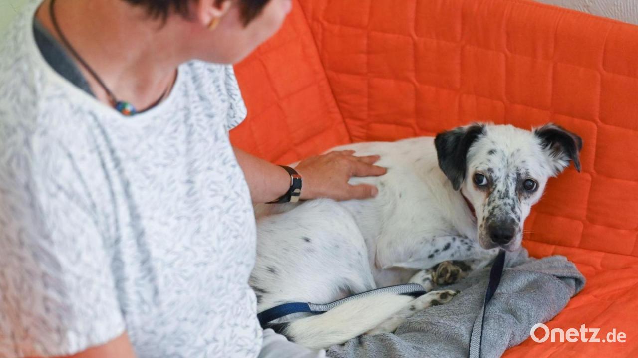 Diskussion um Jahresausklang ohne Böller nimmt Fahrt auf