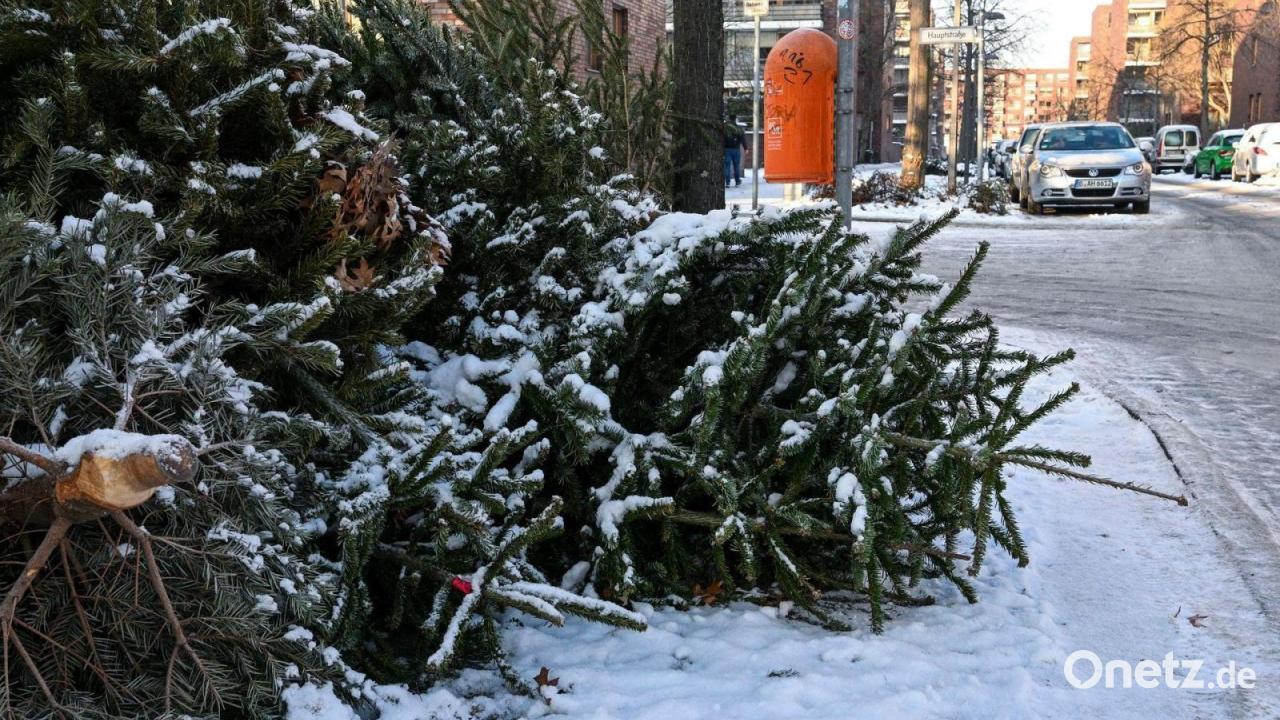 Dieb klaut Geld von Christbäumen - Spende für Pfadfinder