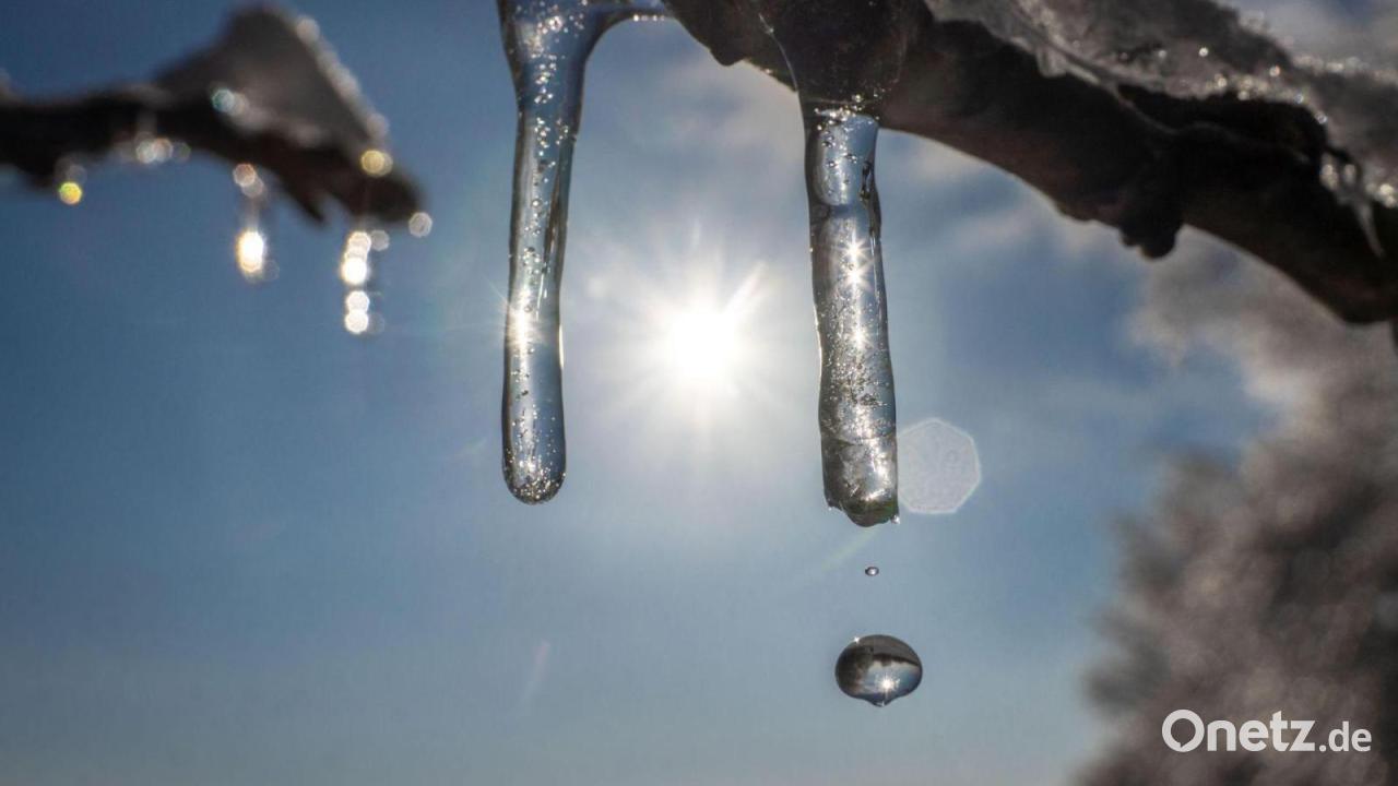 Bis elf Grad und Sonne – Schnee schmilzt im Freistaat
