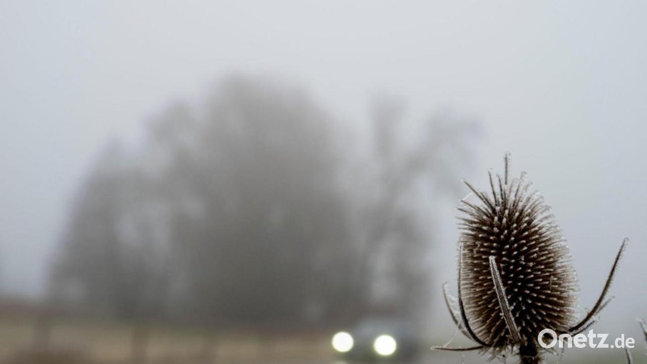 Der Samstag wird trüb - die Nacht zum Sonntag glatt