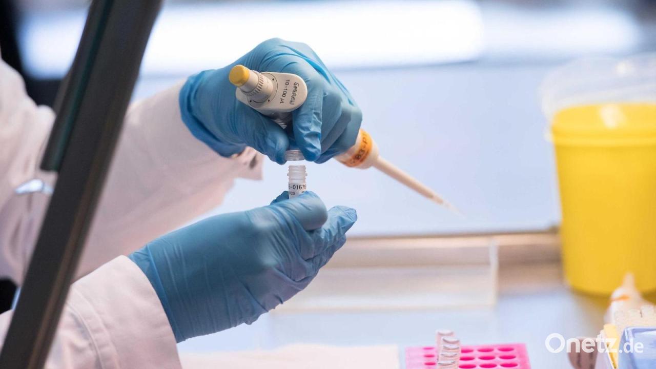 Ungekl-rte-M-dchen-Morde-f-hrt-DNA-Spur-zum-T-ter-