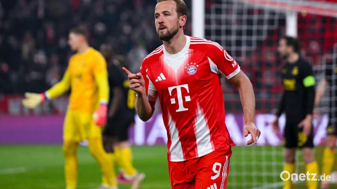 Trotz-Elfer-Fehlschuss-Kanes-Schnitzel-Serie-h-lt