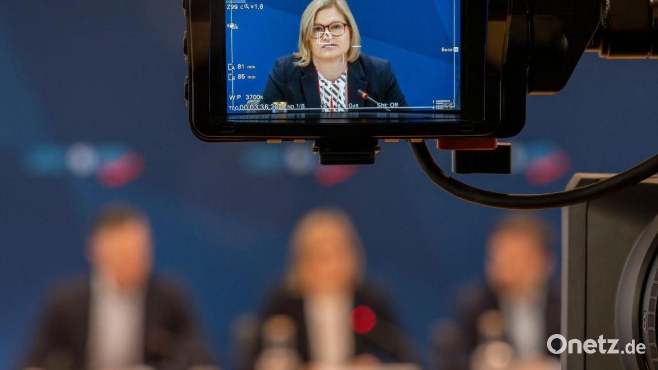 AfD: Nur Menschen einbürgern, die dem Staat nützlich sind