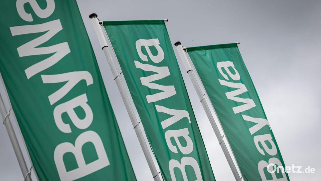 Zahlen zu spät gemeldet: Baywa muss 2500 Euro zahlen