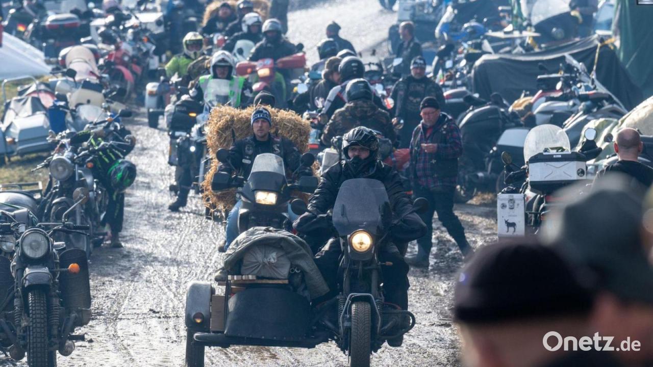 Scharfe Vorschriften sollen Elefantentreffen retten