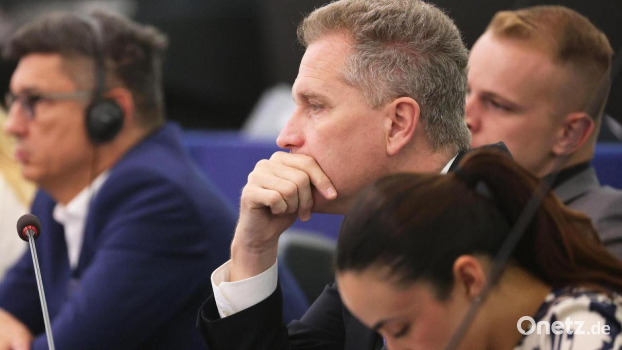 EU-Ausschuss fordert Immunitätsaufhebung von AfD-Politiker