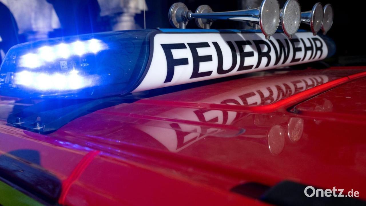 Bus-prallt-gegen-Geb-ude-Verletzte-bei-Unfall-in-M-nchen