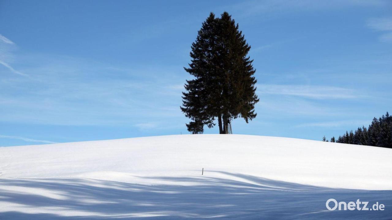 Regen, Schnee und Sonne: Bayerns Wetter bleibt unbeständig