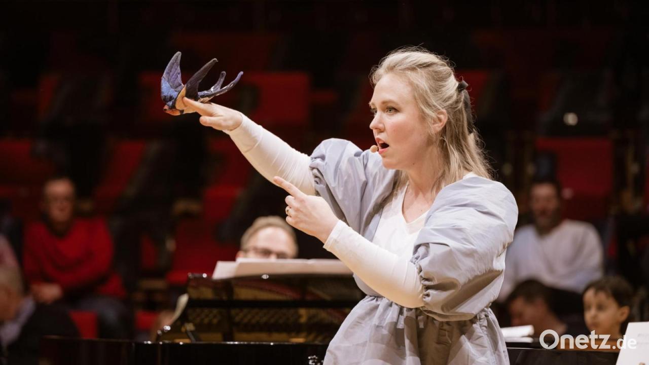 Kinderkonzert-Die-V-gel-im-Stadttheater-Amberg