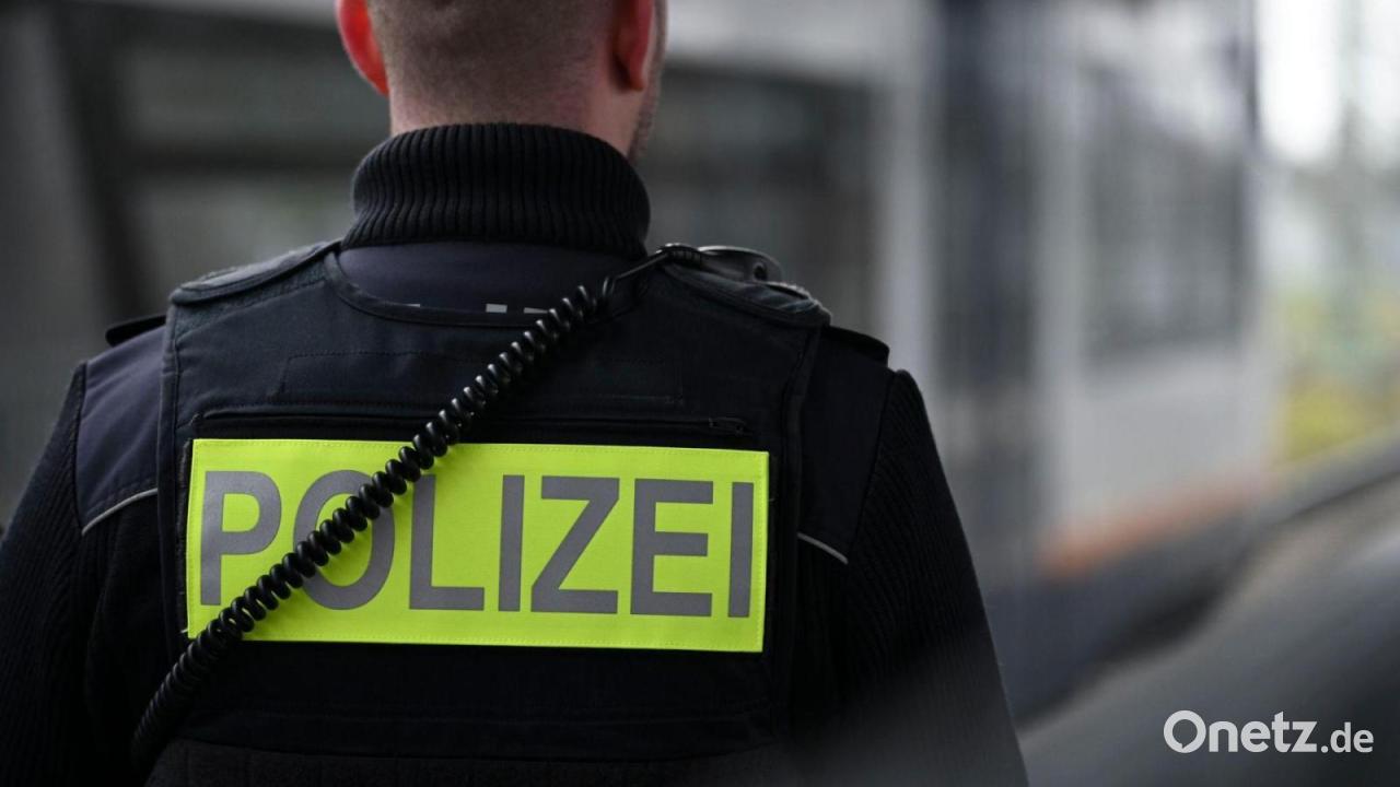 Train conductor dies in attack in Rhineland-Palatinate - |