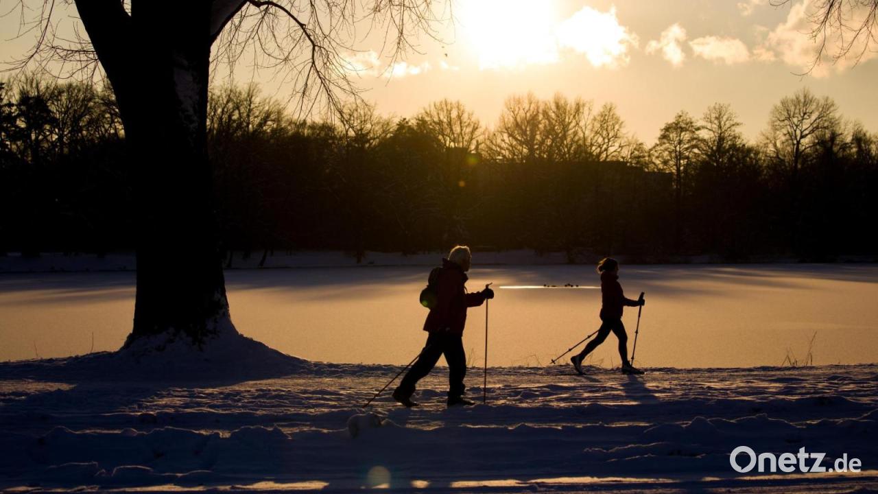 Langlaufloipen-mutwillig-zerst-rt