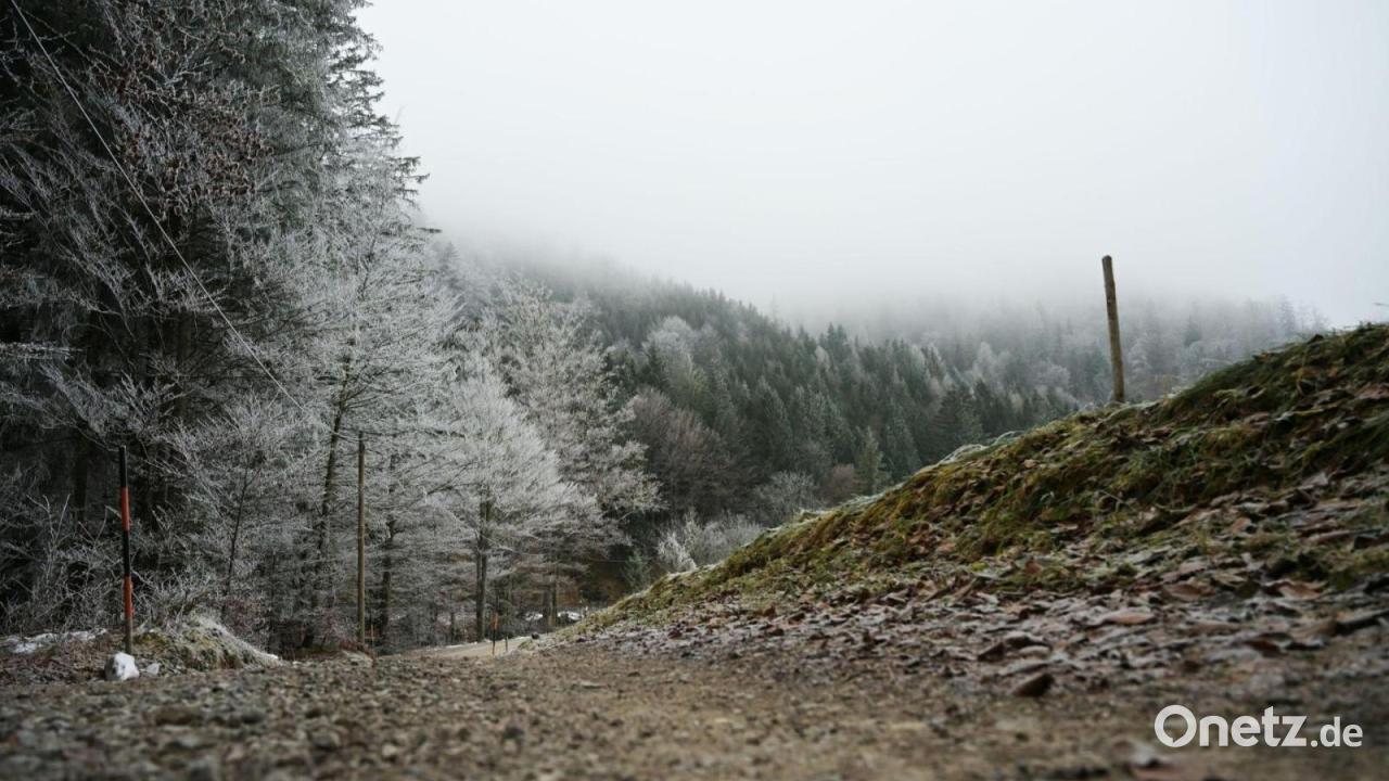 Wetter in Bayern zeigt sich trist und ungemütlich