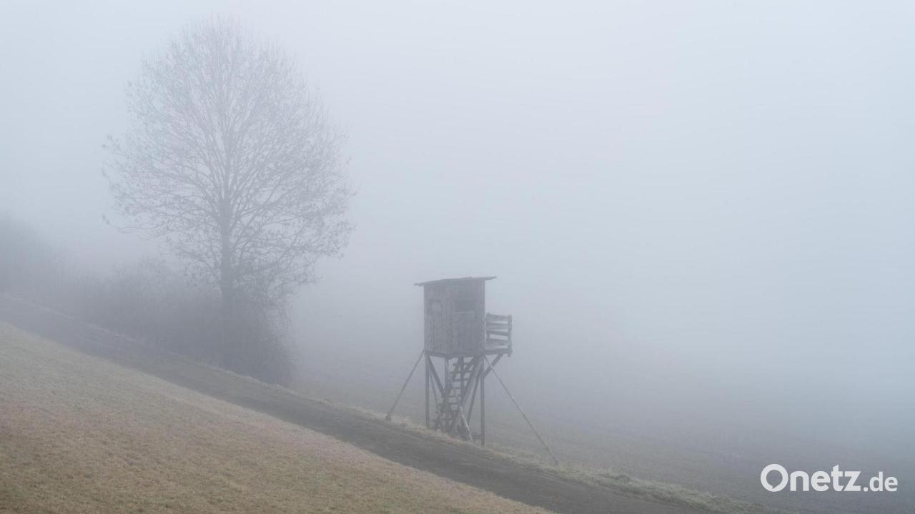 Woche endet trüb - Wo es am Wochenende sonnig ist
