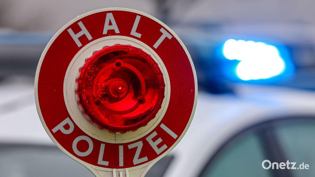 Polizei-entdeckt-Welpe-unter-Fu-matte