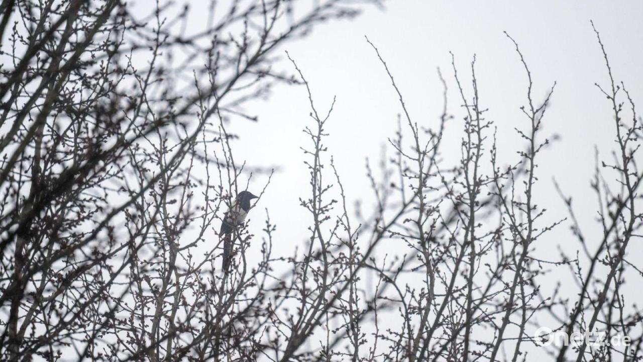 Tristes-Winterwetter-in-Bayern-mit-einzelnen-Lichtblicken