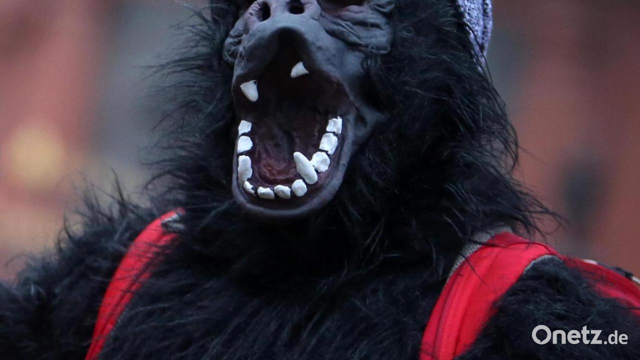 Mann im Affenkostüm schlägt Faschingsgast nieder