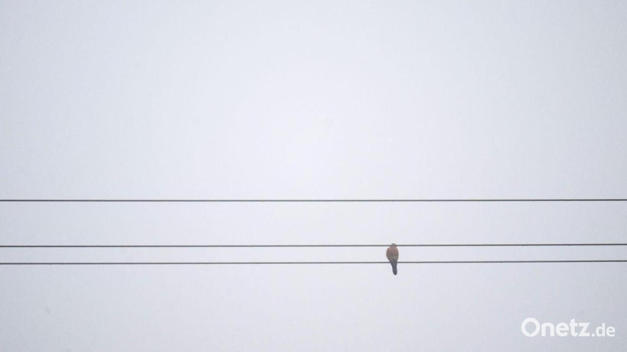 Von Gewitter bis Glätte – das Wetter in Bayern