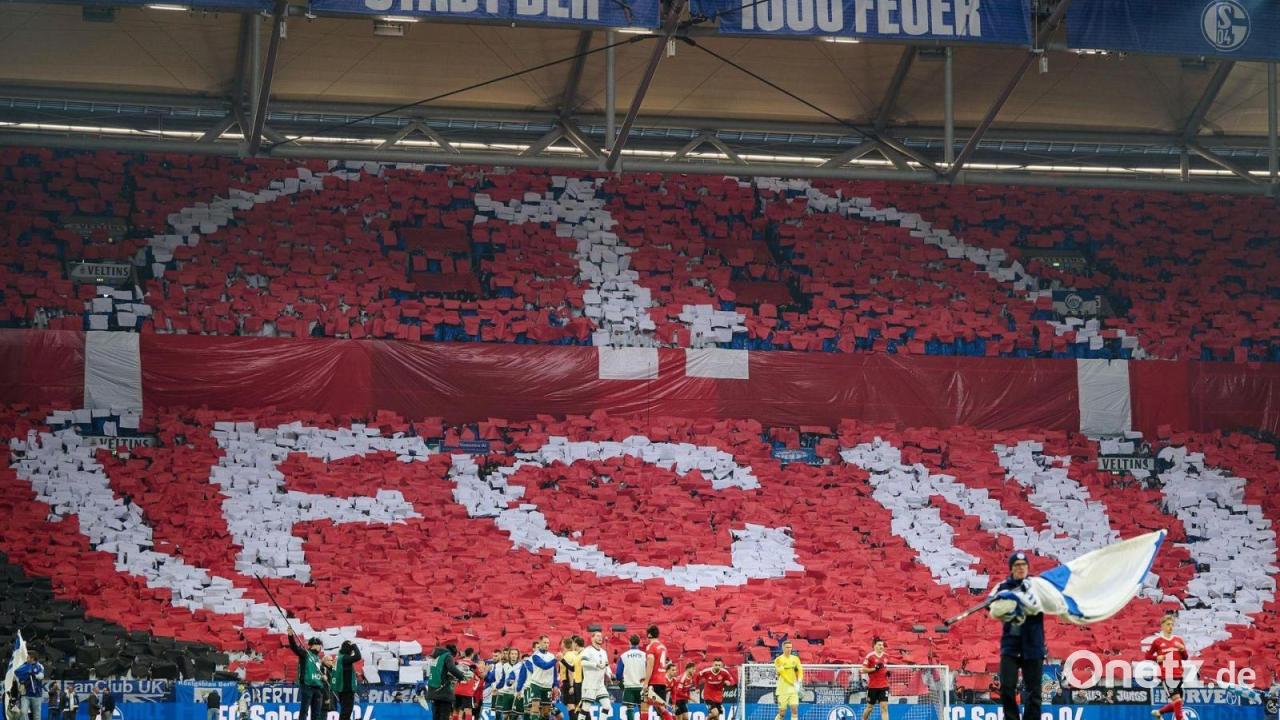 Nachfolger von Wiesinger: Frey Nachwuchsboss in Nürnberg