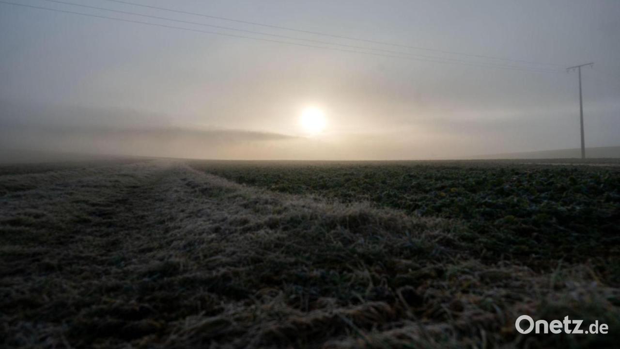 Sonnig und milder Samstag in Bayern