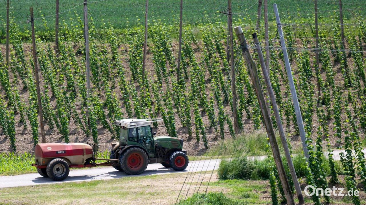 Mann gerät auf Hopfenfeld in Wickelmaschine und stirbt