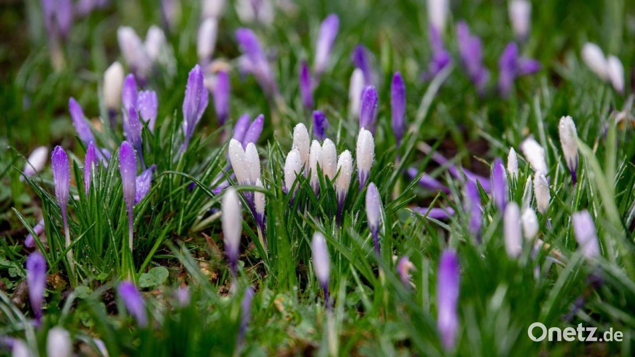 Wochenende startet wechselhaft, dann lockt die Sonne