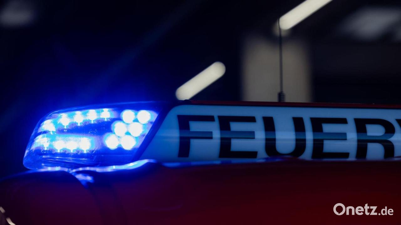 Katzen verenden bei Brand – 100.000 Euro Schaden