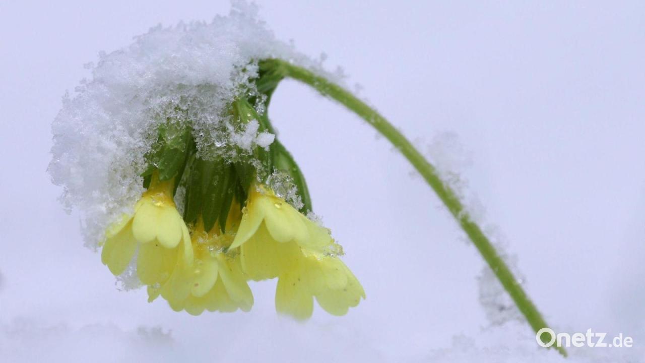 Bayern bleibt zum Start der Osterferien winterlich