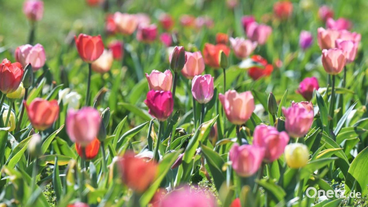 Sonne-Wolken-Mix über Bayern