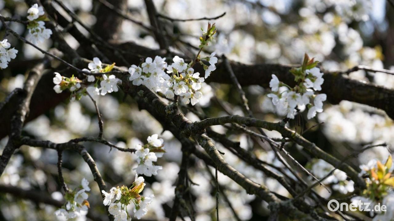 Erster Gewittersonntag des Jahres