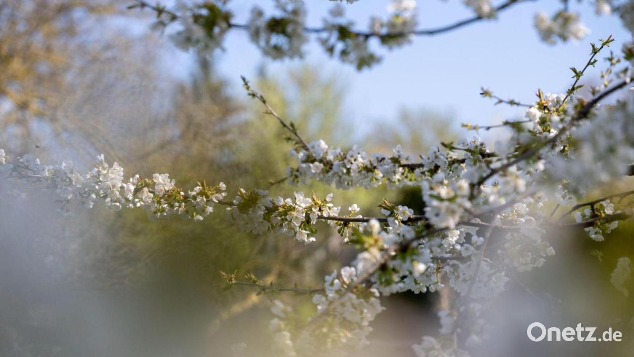 Kalter Start, dann Sonne – Bayern-Wetter schlägt Haken