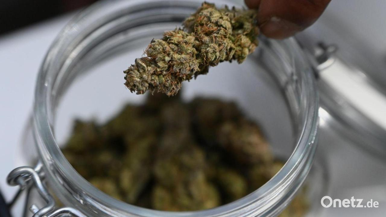 Polizei stellt sieben Kilo Drogen sicher – Mann in U-Haft