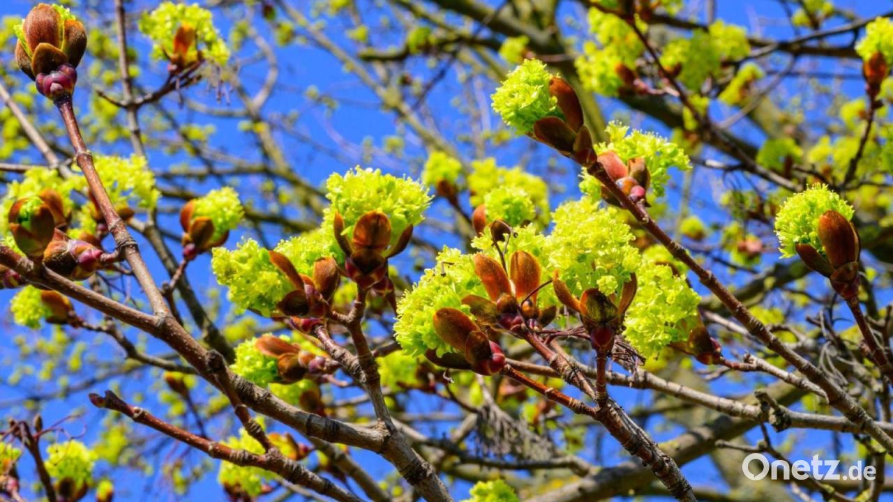 Temperaturen bis 23 Grad - Sonne lockt Bayern ins Freie