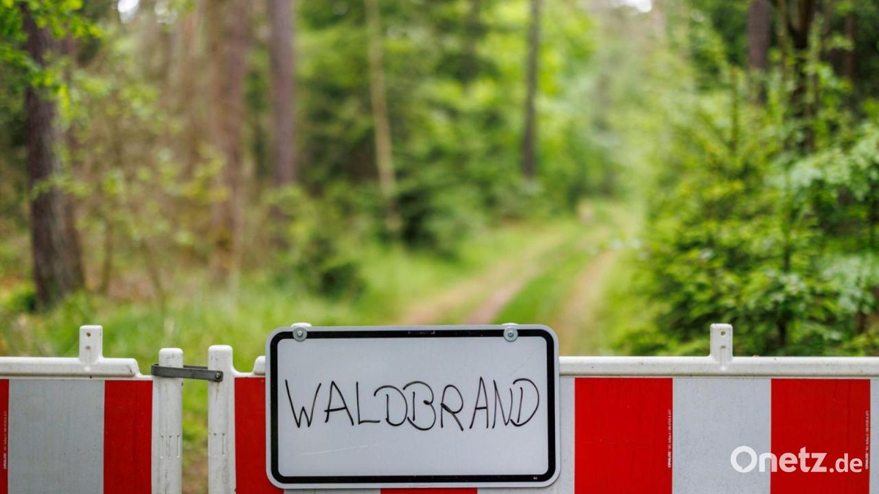 Agrarministerin Kaniber warnt vor Waldbrandgefahr in Bayern