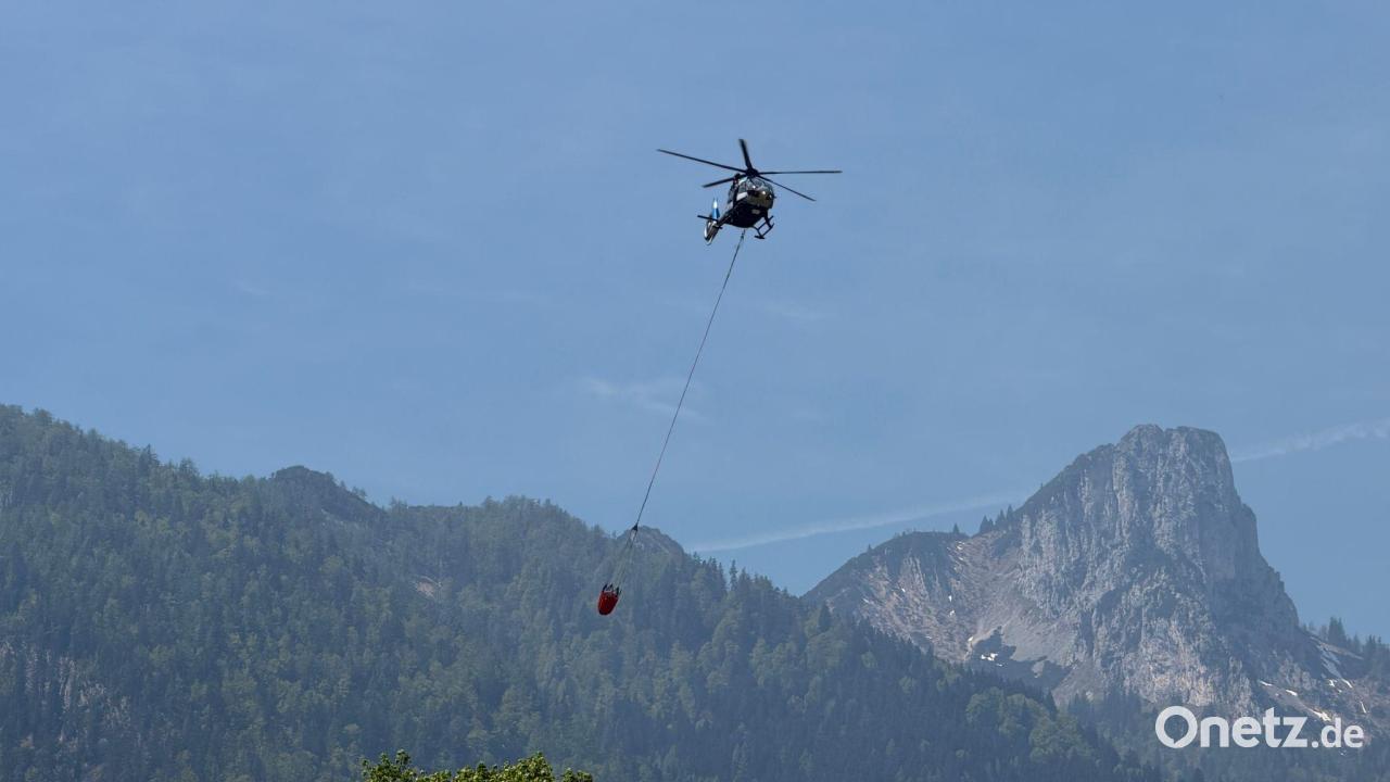Waldbrand am Saurüsselkopf - keine Entwarnung
