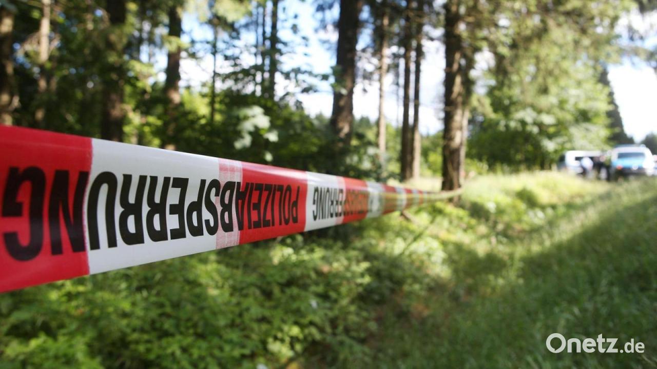Cold Case Peggy: Bis heute fehlt ein Täter