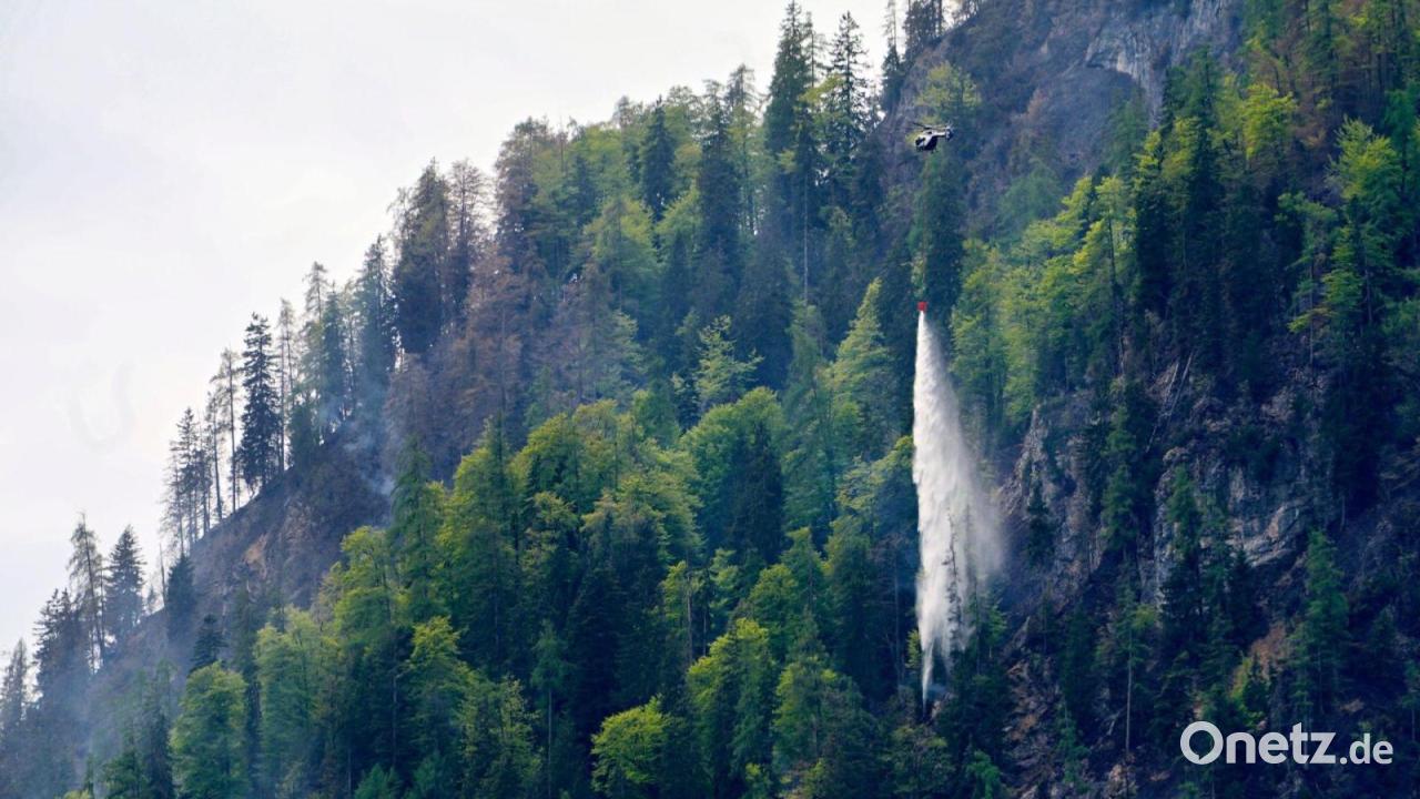 So ist die Lage beim Waldbrand am Saurüsselkopf