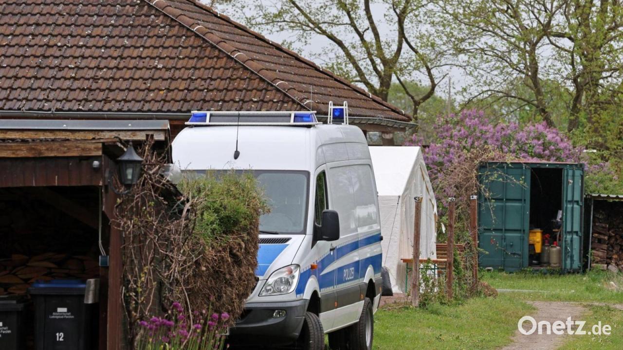 Schatzsuche erfolglos - Keltengold bleibt verschwunden
