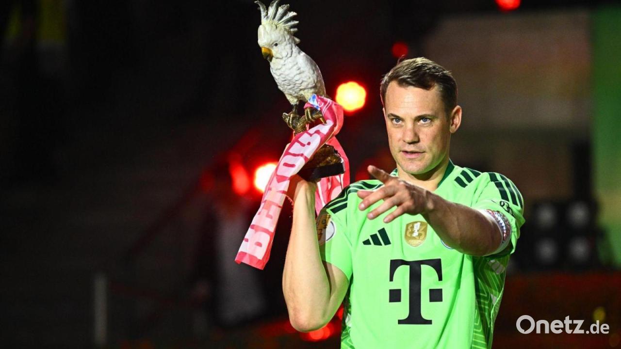 Neuers Weg zur WM: Pokal-Party und Brasilien-Parallele