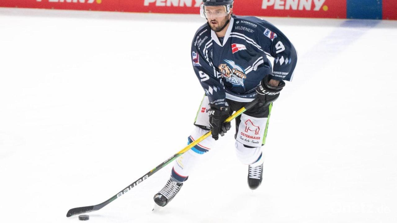 Straubing Tigers verlängern mit zwei Verteidigern