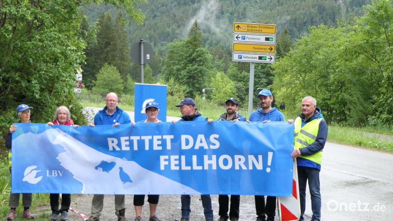 Umweltschützer protestieren gegen Lift-Neubau am Fellhorn