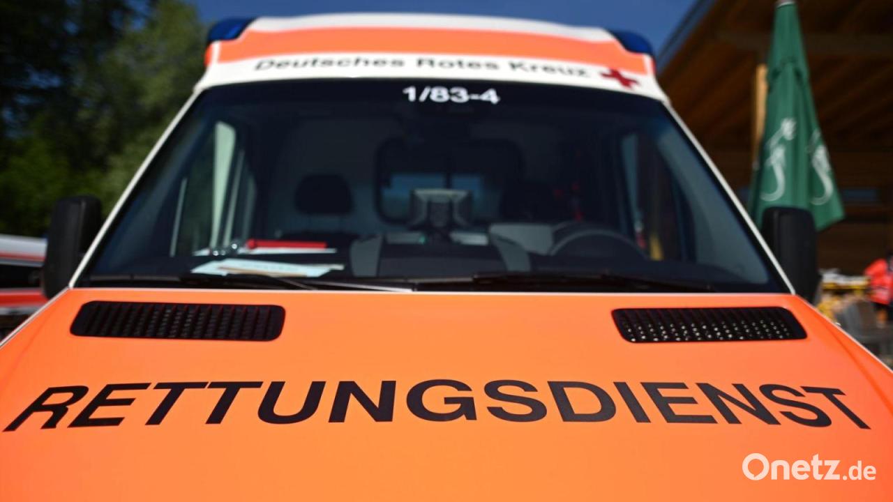 Vater rettet bewusstlosen Sohn aus der Donau