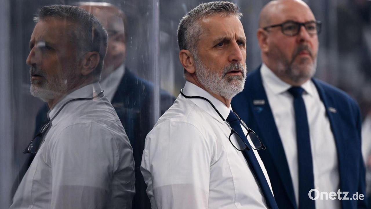 Éric Dubois wird neuer Eisbären-Cheftrainer