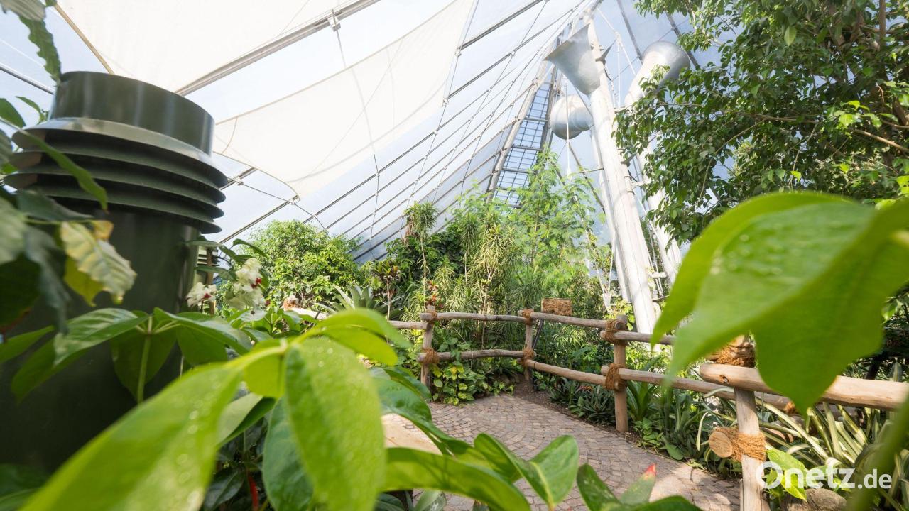 Nach langem Umbau: Neue Dschungelwelt in Münchner Zoo