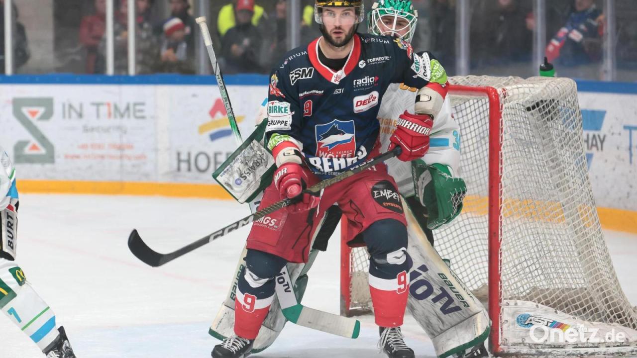 Blue Devils Weiden sign former Selb Wolves gold medalist