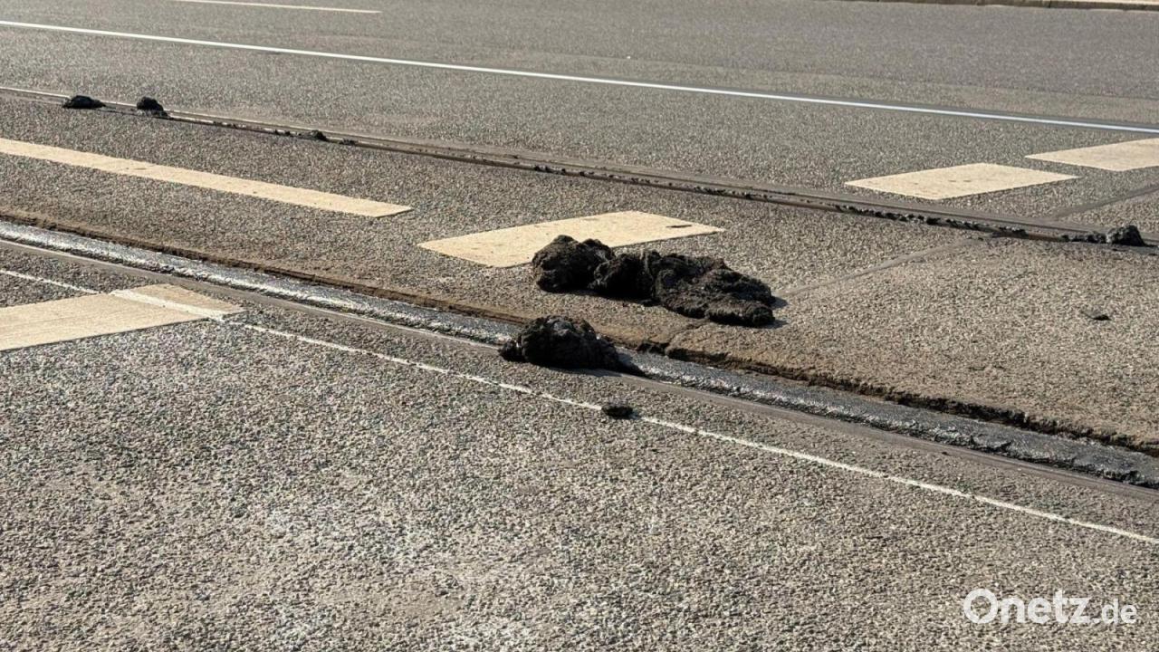 Hitzeschäden stoppen Nürnberger Straßenbahnen vorerst